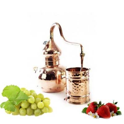 Аламбик &quot;Термо2&quot; из меди 2 л для домашнего использования