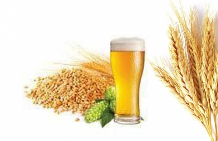 Дрожжи сухие Mangrove Jacks Craft Series Cider 500 г Канал