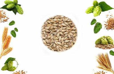 Солод Мальт Чет кофе лайт в мешке 25кг Мнемозин 