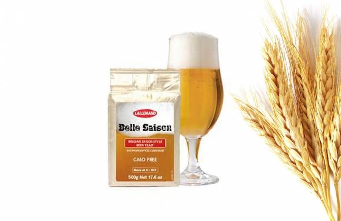 Купити Купити Дрожжи Belle Saison (Белль Сезон) 500 гр в Україні в Україні