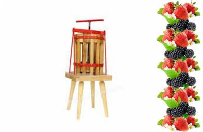 Пресс для фруктов 10л Штуцер