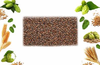 Купить солод шоколадный В 800 1000 ЕВС 500г Авунда