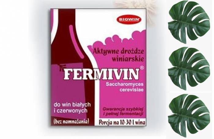 Купити Купити Дрожжи для вина FERMIVIN красные белые вина 7г Тритон в Україні в Україні