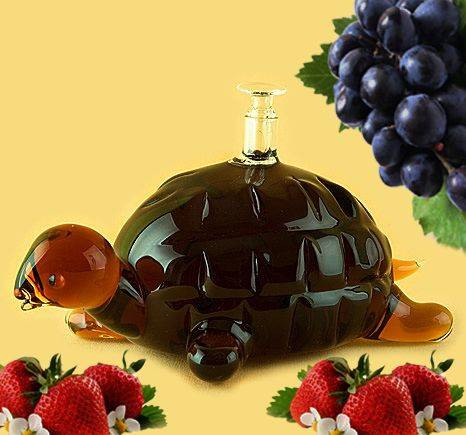 Купити Купити Бутылка стеклянная "Черепаха"  в Україні в Україні