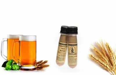 Дрожжи WHITBREAD ALE YEAST Интерим