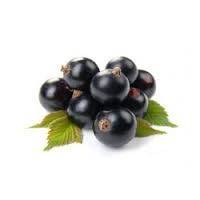 Черная Смородина