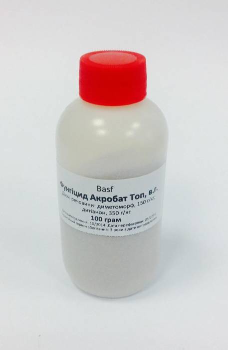 Фунгицид Акробат Топ для борьбы с болезнями винограда