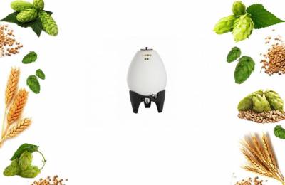 Емкость в форме яйца для брожения 250л Готика 