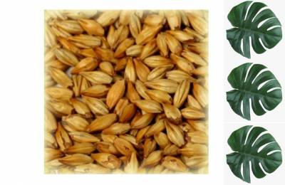 Солод Шато Мюник Лайт 1 кг Кобра