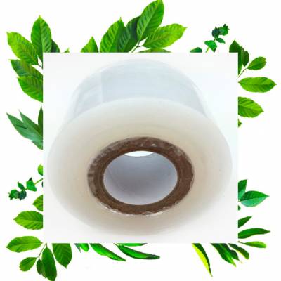  Прививочная лента Лено 5 см перфарация