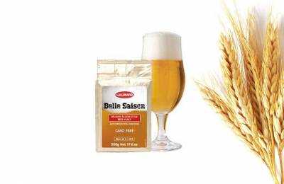Дрожжи Belle Saison (Белль Сезон) 500 гр
