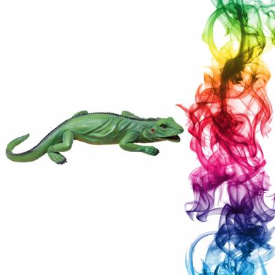 Садовая фигура купить Игуана высота 6 см крыжовник