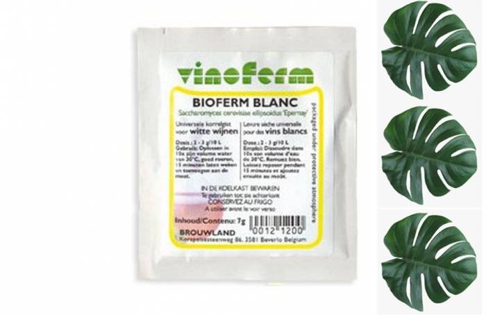 Купити Купити Сухие винные дрожжи Bioferm Blanc 7г Турист в Україні в Україні