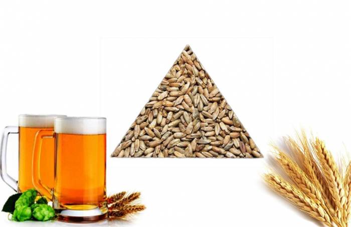 Солод Pale Ale (Пейл- Эль)