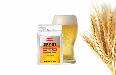 Дрожжи BRY-97 500 г