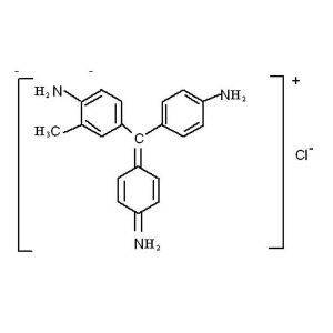 Продажа Фуксин основной чда Бегония