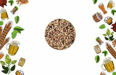 Солод специальный Caramunich II (Карамюнх II)