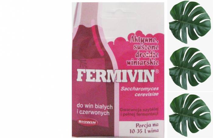 Купити Купити Винные дрожжи купить  Fermivin 7 г в Україні в Україні