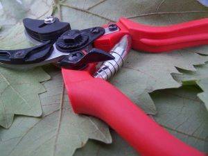 Секатор садовый для обрезки и сбора урожая Нуар