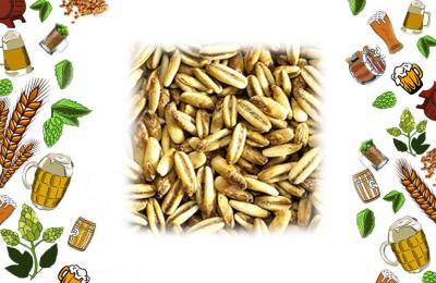 Купить овсяный солод Бельгия 500г Авьер