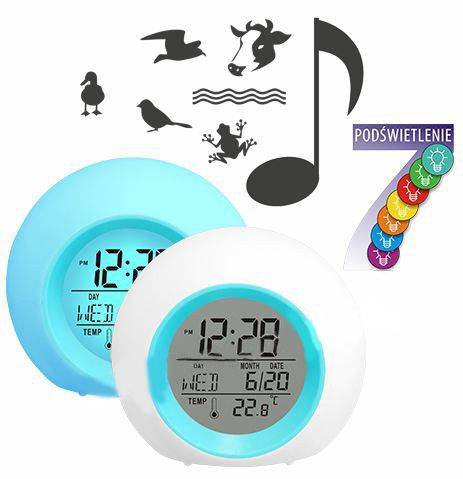 Метеостанция Звуки природы Хель