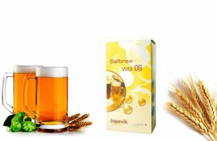 Купить Дрожжи Safbrew WB 500 г Саров