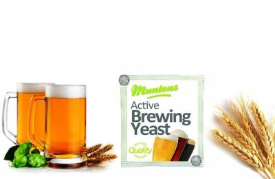 Пивные дрожжи muntons active brewing yeast 6 гр Дайсен