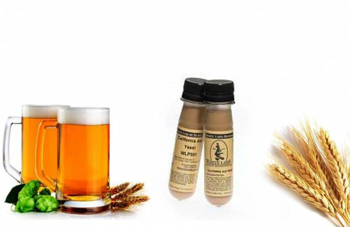 Купити Купити Дрожжи BELGIAN SAISON I YEAST Интерьер в Україні в Україні