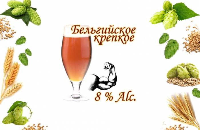 Купити Купити Набор для приготовления пива Бельгийский Крепкий Эль на 20-30 л. Карл в Україні в Україні
