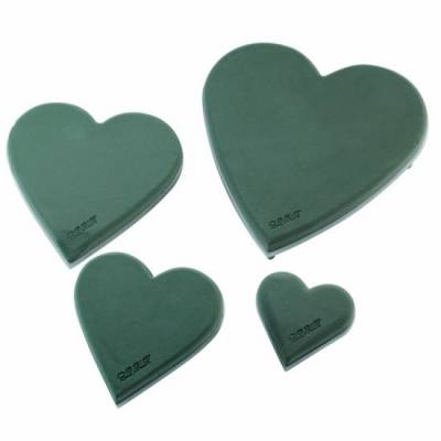 OASIS ECObase Сердце