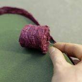 OASIS ECObase Сердце