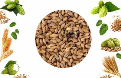 Купить солод ячменный CHATEAU Cаra Blond CASTLE MALTING Каршкерлам