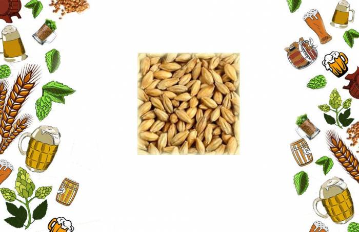 Купити Купити Солод ячменный Пильзенский Best Malt Pils 6 EBC Голливуд в Україні в Україні