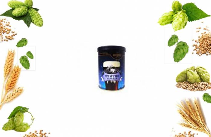 Купити Купити Купить Экстракт охмеленный Mr.BEER Winter Dark Ale 1300 г Благовещенск в Україні в Україні