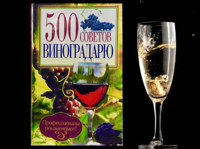 Купити Купити 500 советов виноградарю Ю.Д.Бочук в Україні в Україні
