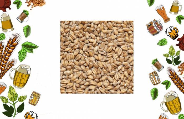 Купити Купити Солод пшеничный Wheat Латвия Гавань в Україні в Україні