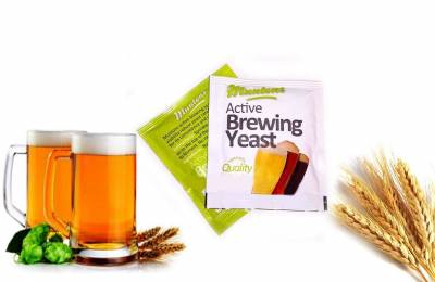 Пивные дрожжи Muntons Active Yeast 6 грамм Мейер