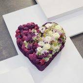 OASIS ECObase Сердце