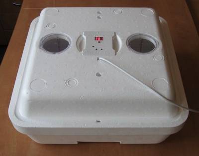 Инкубатор Веселое семейство 2 Каперсы