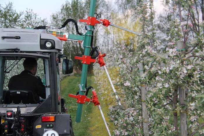 Купити Купити Механический прореживатель завязи FLEXITREE в Україні в Україні