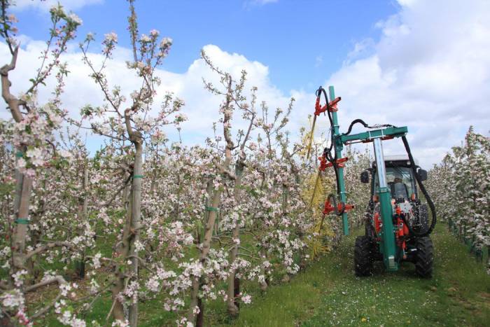 Купити Купити Механический прореживатель завязи FLEXITREE в Україні в Україні