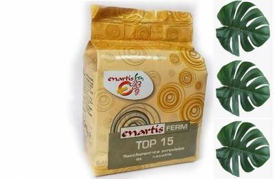 Винные дрожжи Челленж Топ 15 Кантаре