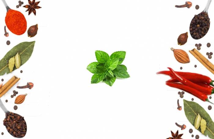 Мята 50 г Литера