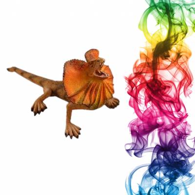 Садовая фигура купить Ящерица плащеносная 31x12 см Чаша