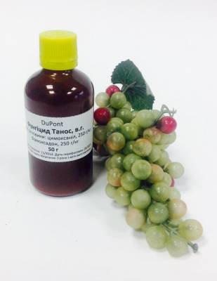Фунгицид Танос от болезней картофеля