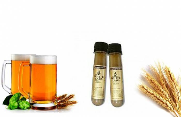 Купити Купити Дрожжи European Ale Yeast Инвар в Україні в Україні