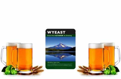 Жидкие пивные дрожжи Wyeast Bohemian Lager Каламбур