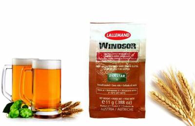 Пивные дрожжи Windsor 11 грамм Остерман