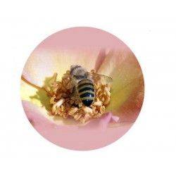 Крышка Твист-Офф 82 мм розовая с пчелой 1