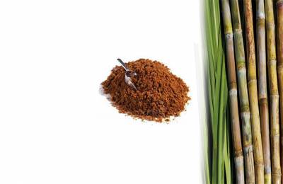  Купить Бельгийский темно-коричневый сахар 500г Гавайок